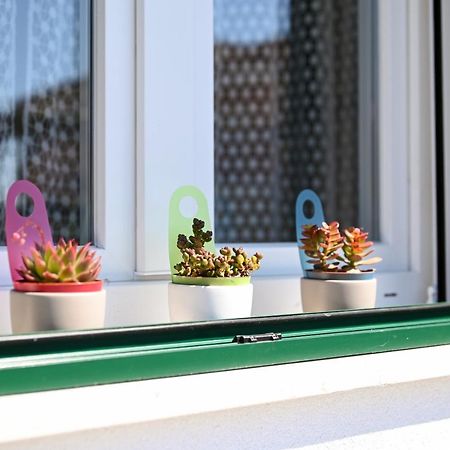 Apartments Art Trogir Ngoại thất bức ảnh