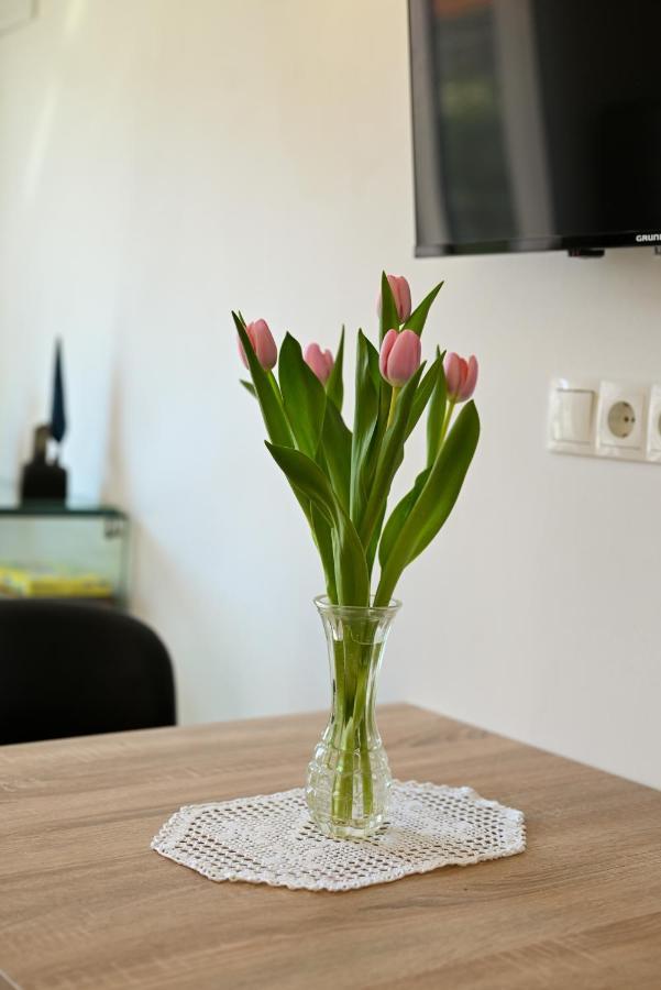 Apartments Art Trogir Ngoại thất bức ảnh